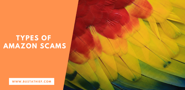 Ultimate Guide To Amazon Scams security analysis