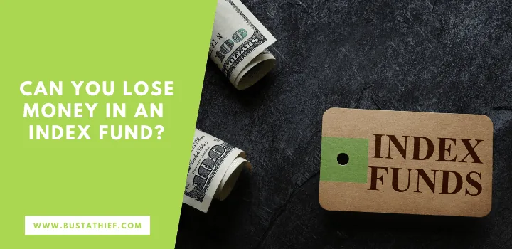 Can You Lose Money in an Index Fund? security analysis